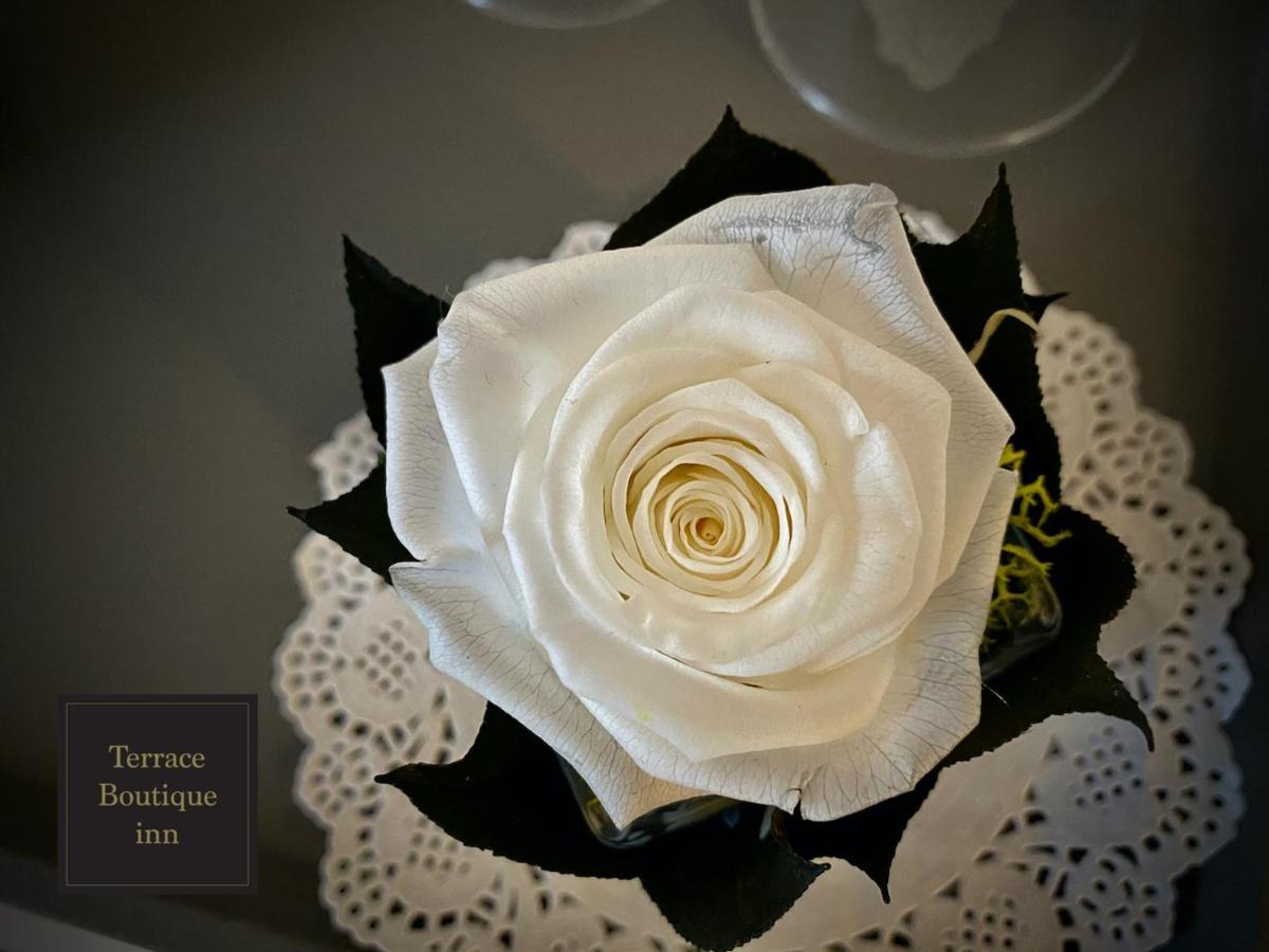 Terrace Boutique Inn 로마 외부 사진